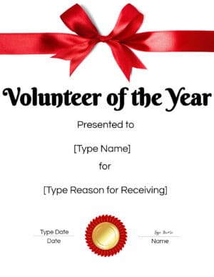 Volunteer of the Year